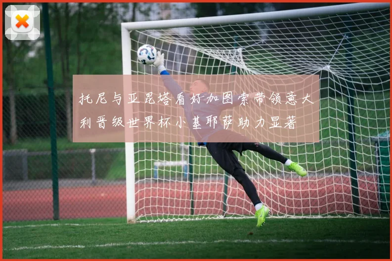 托尼与亚昆塔看好加图索带领意大利晋级世界杯小基耶萨助力显著