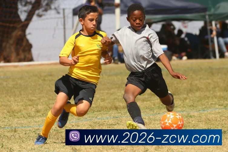 足彩网平台生态图