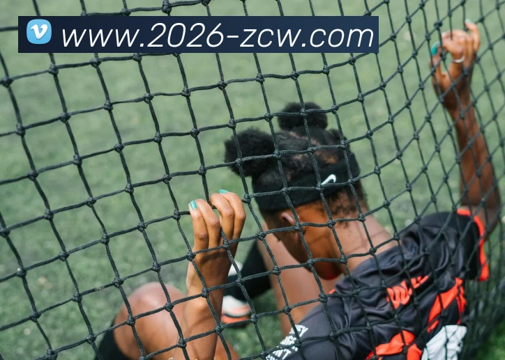 数据防护可视化